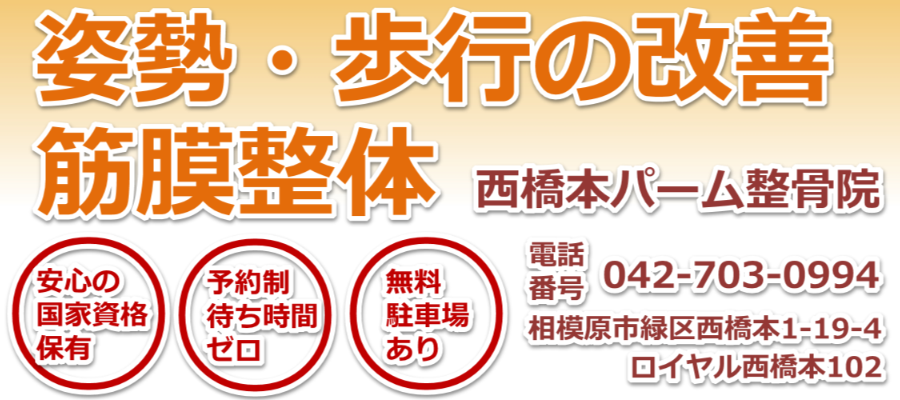 西橋本パーム鍼灸院・整骨院 公式ホームページ